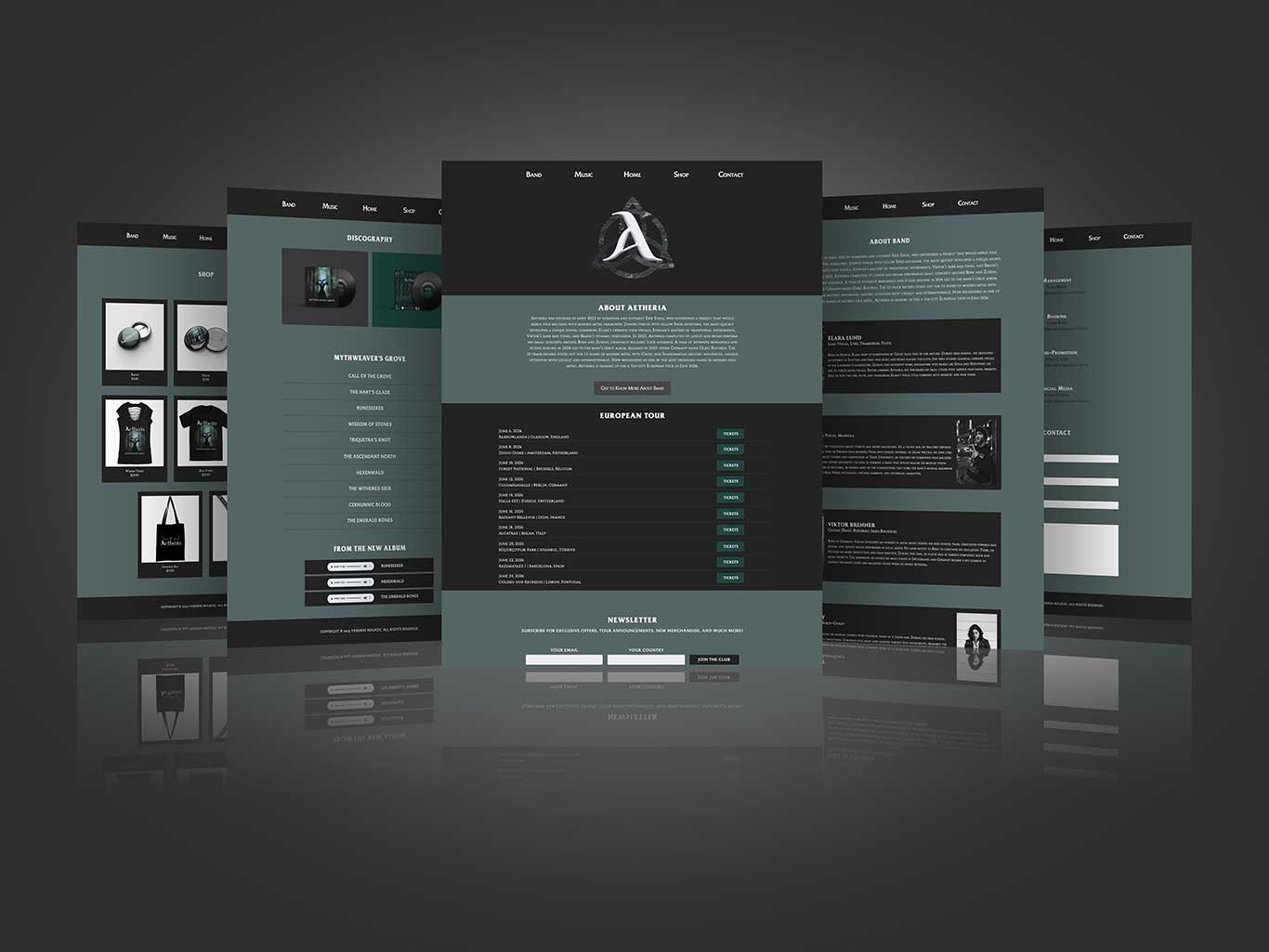 Mockup of the promotional website for the new album